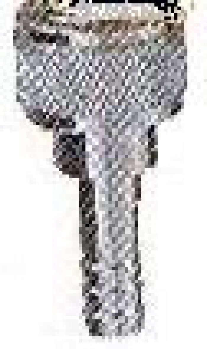 Hose nipple with nut for RVTM3 and TM2 ejector